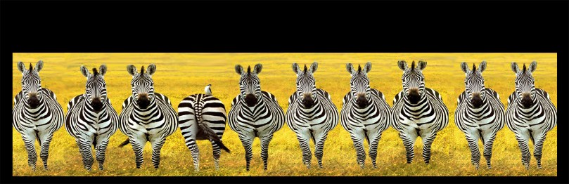 Different isn't always better